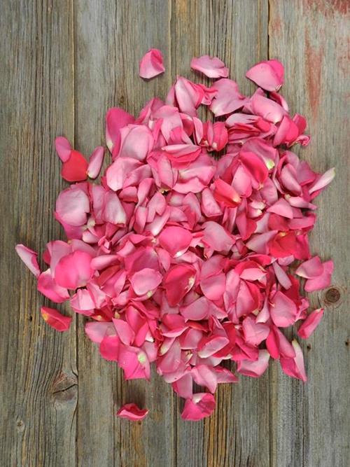 360 GRAMS HOT PINK ROSE PETALS